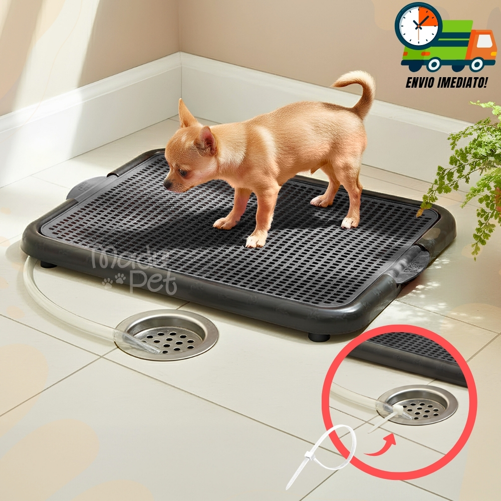 Banheiro Sanitário Com Dreno e Mangueira Lavável Para Cães Tapete Higiênico Promoção Envio Imediato
