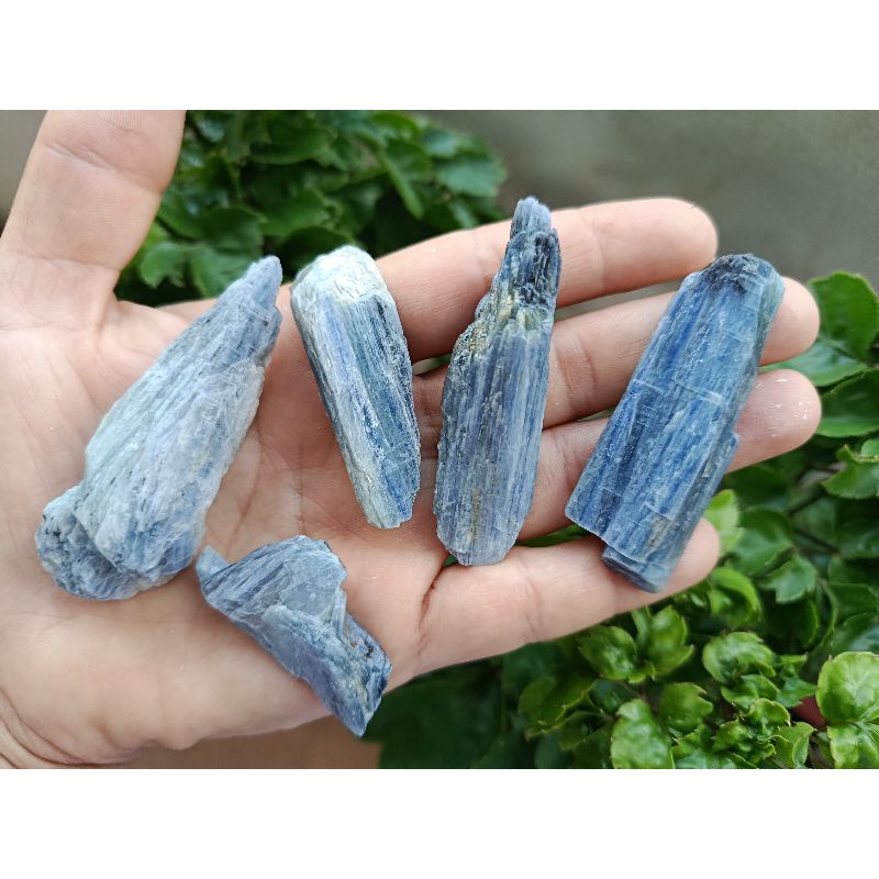 Cianita Azul. kit 5 unidades.