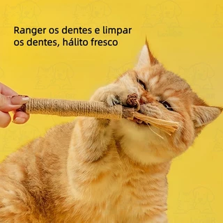 Brinquedo de madeira extragrande para gatos - Bastão para dentição, para a dentição Material natural, higiene oral WJ-40