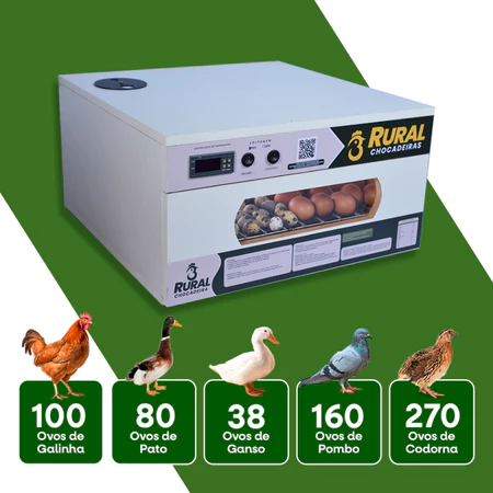Chocadeira Elétrica 100 a 120 ovos de Galinha ou 220 ovos de Codorna + APP Atualizado