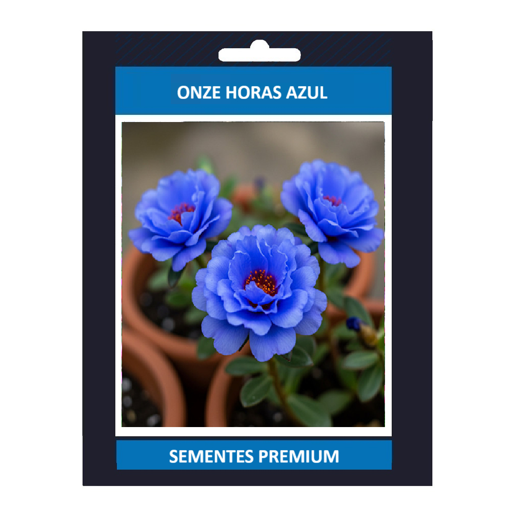 EXCLUSIVO!!! Sementes de Flor Onze Horas Azul Raras Premium Com Manual ...