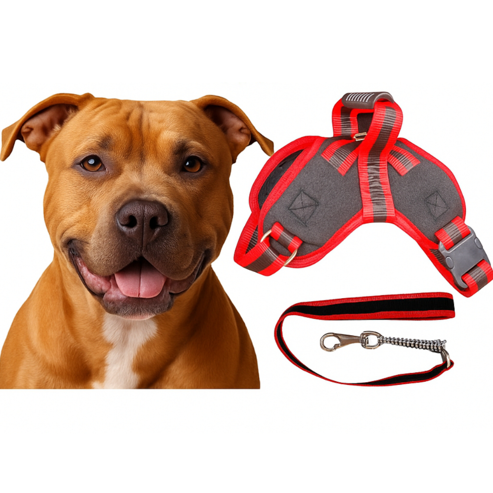Peitoral Coleira com Regulagem com Trava de Segurança Cães Cachorro ...