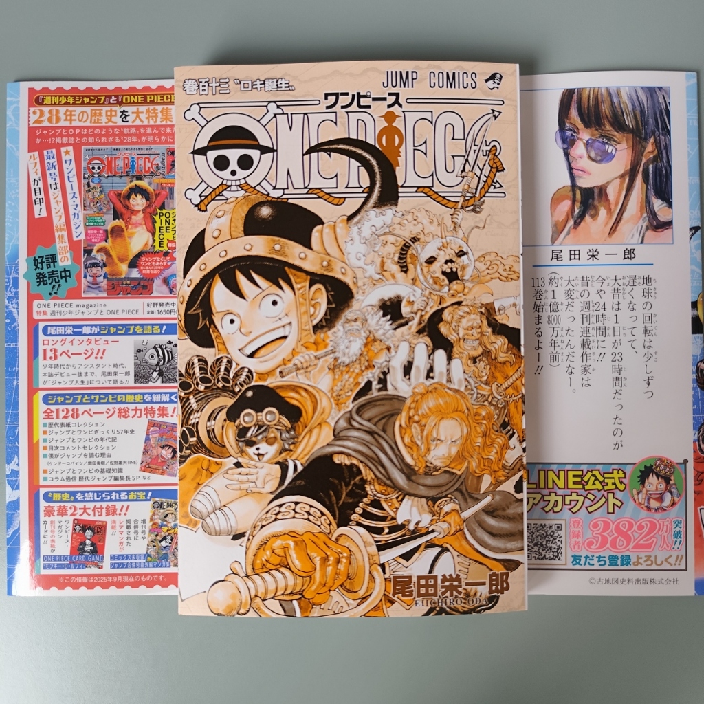 Mangá One Piece 113 em japonês | Shopee Brasil
