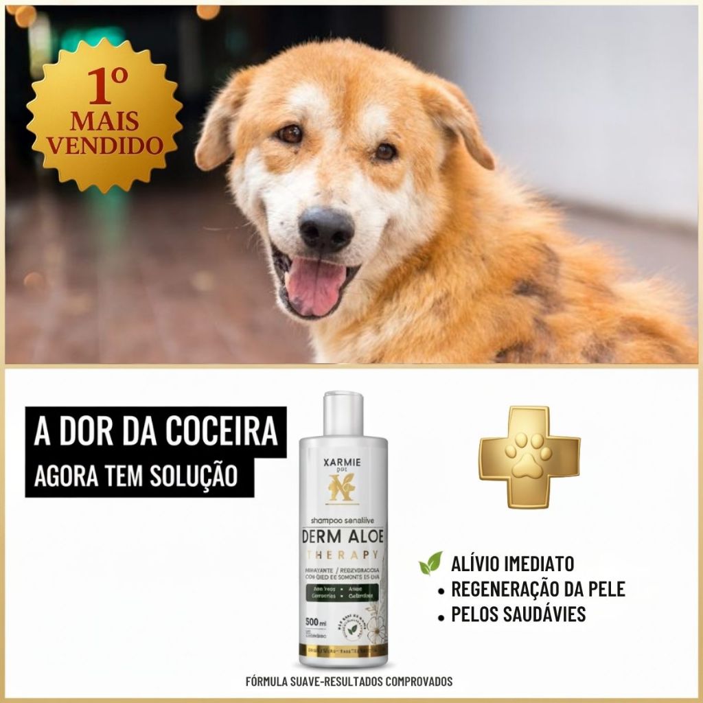DERM ALOE 500 ml – Shampoo Terapêutico para Cachorro com Alergia ...