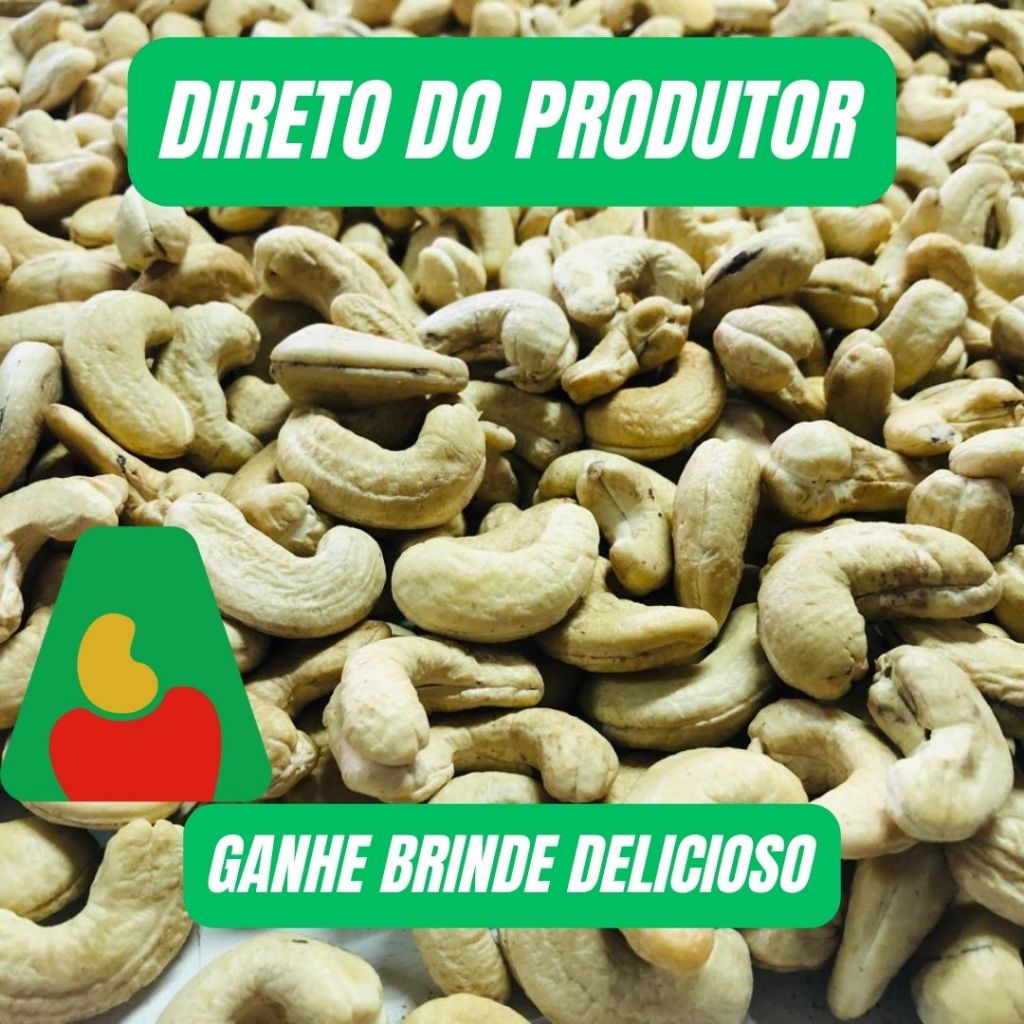 Castanha de Caju W1 Natural - Direto do Produtor