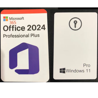 Kit Windows 11 e Office 2024 Profissional Plus Entrega Física