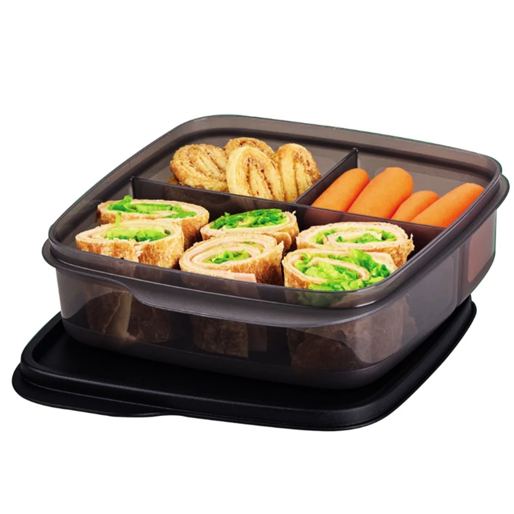 WATER LINE SERIES 9点セット Tupperware Basic Line com Divisórias 550ml a 590ml- Cores Diversas