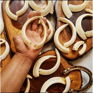 DENTE JAVALI