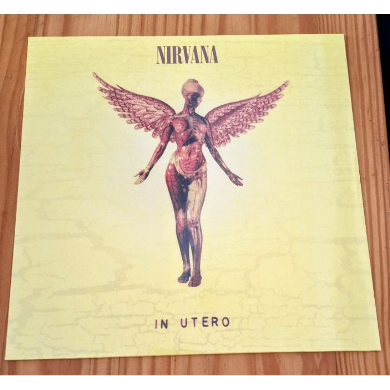 LP Nirvana in utero | Shopee Brasil