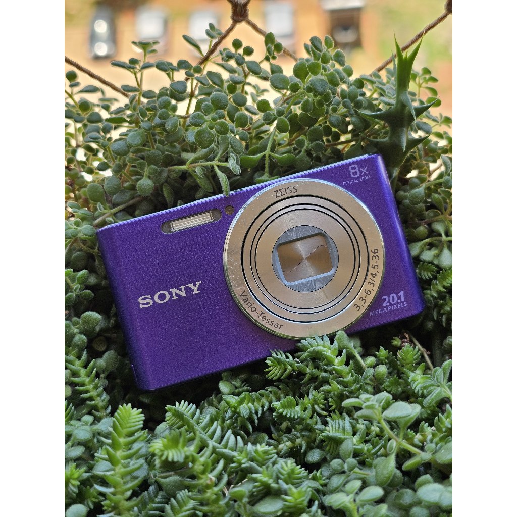 Sony Cyber-shot DSC-W830 Roxa 16gb completa id145 | Shopee Brasil