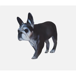 Pet personalizado