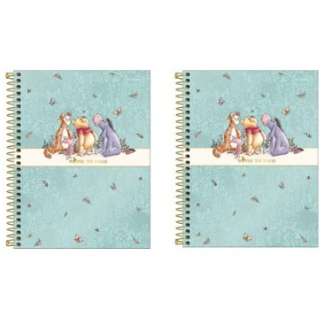 Kit Pooh 2 Cadernos Espirais Capa Dura Colegial 1 Matéria 80