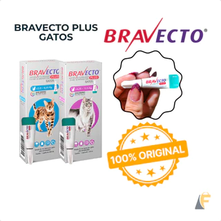 Bravecto Transdermal Plus Gatos Antipulgas Vermes e Sarnas Pipeta Msd em Oferta na Shopee