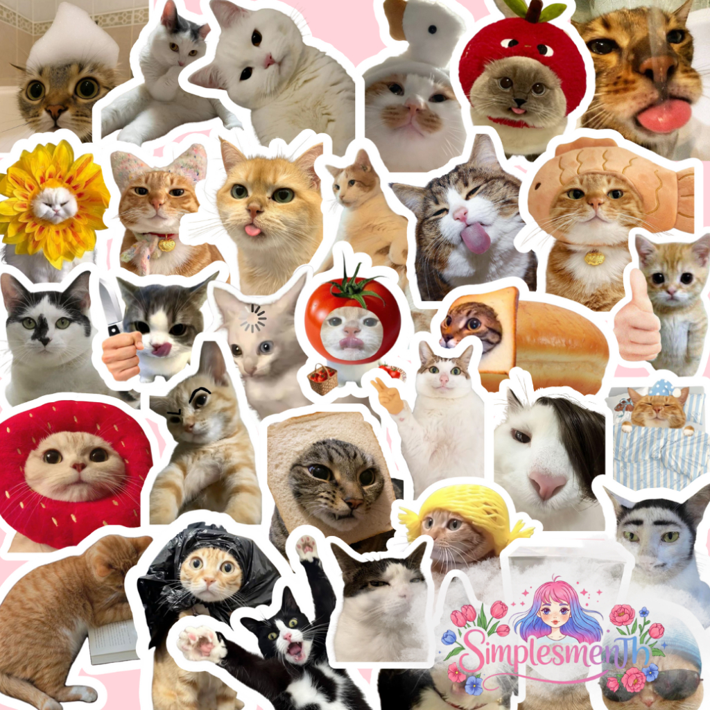 Stickers Adesivos Memes de Gatinhos | Shopee Brasil