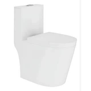 Vaso Sanitário Monobloco Caixa Acoplada Completo Privada Cor Branco Tubrax