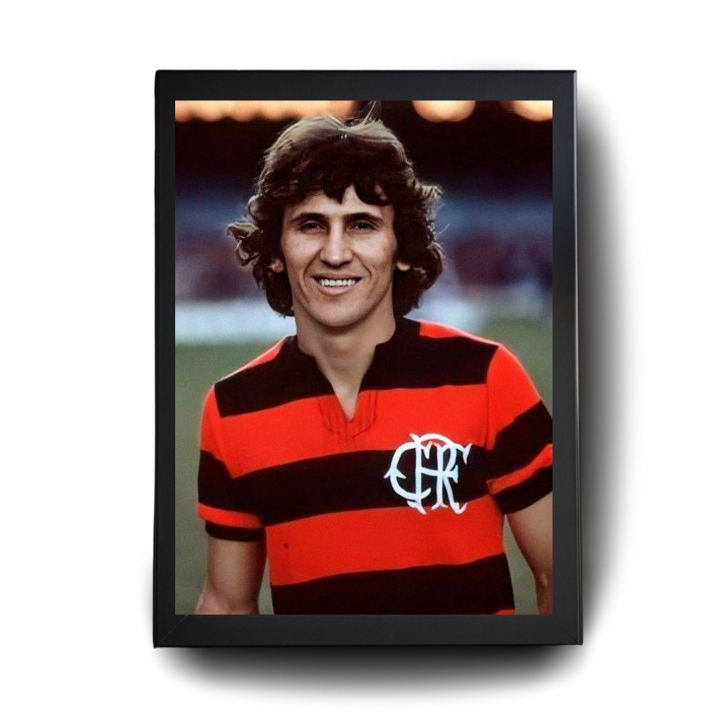 Quadro Zico Com Moldura 10 Variedades | 35x25cm | Shopee Brasil