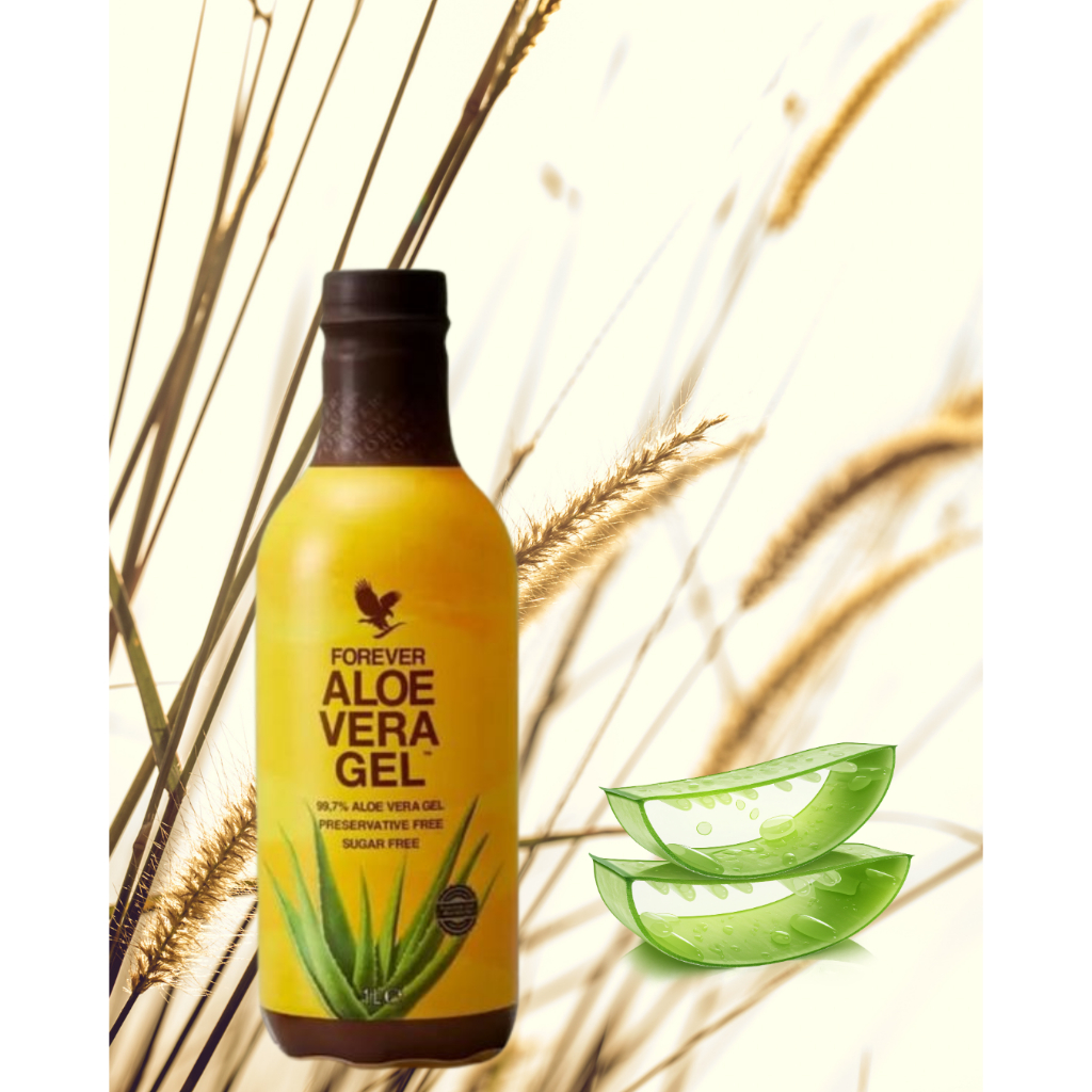 Kit Econômico Aloe Vera Gel Forever 4 Unid. | Qualidade e Pureza