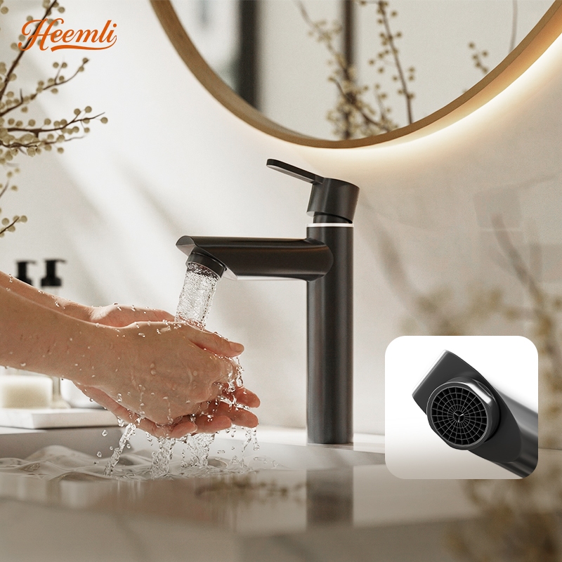 Heemli Torneira Banheiro Inox Preto e Cromado com Água Fria