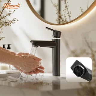 Heemli Torneira Banheiro Inox Preto e Cromado com Água Fria