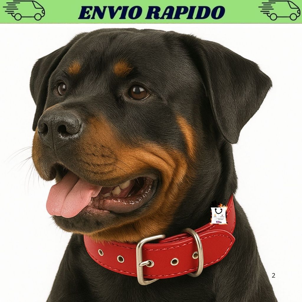 Coleira Cães Cachorro Pitbull Rottweiler Boxer - Pet Grande Porte s/ Cravo Larga