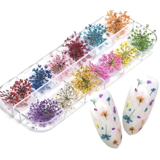 Flores Secas Encapsulamento Decoração Unhas De Gel em Oferta na Shopee