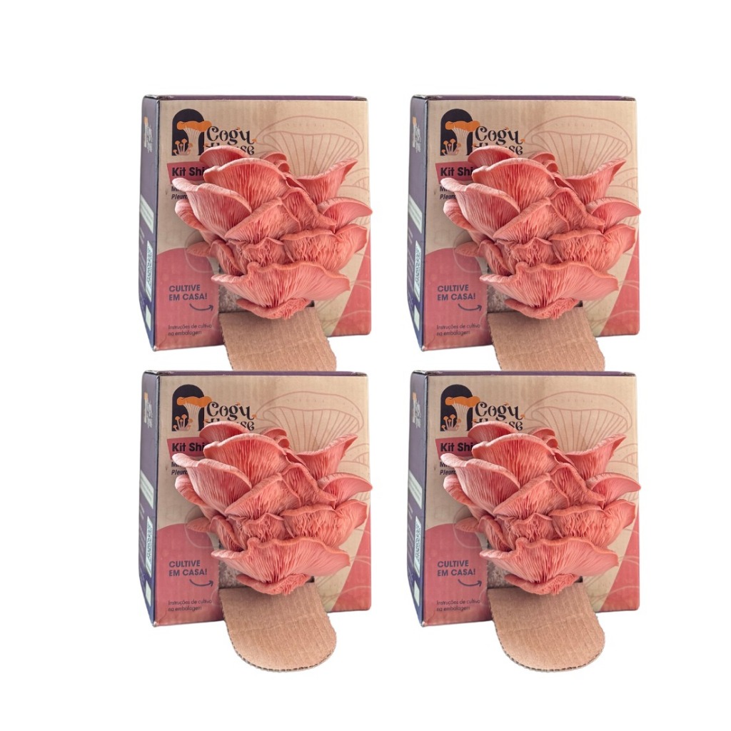 4 Unidades - Kit Shimeji Salmão
