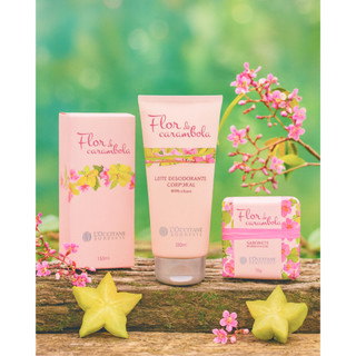 Kit L'Occitane em Oferta | Shopee 2025
