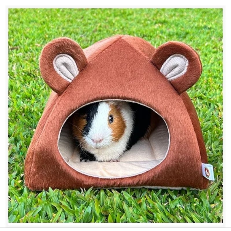 Toca p/ Porquinho da Índia - Ursinho - Guinea Pig Props | Shopee Brasil