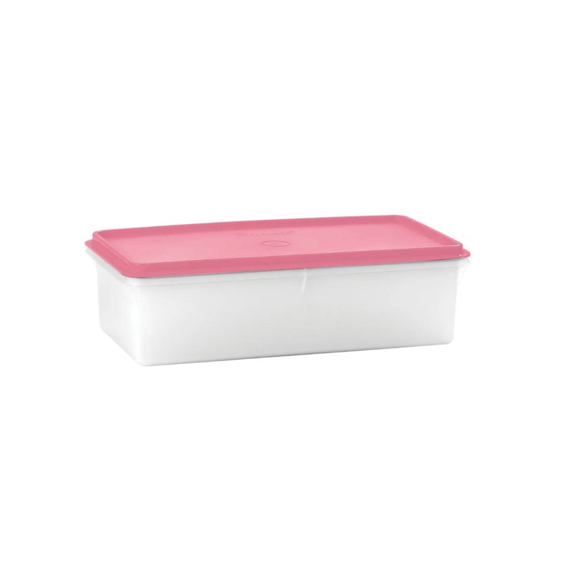 rosa da tupperware em Promoção na Shopee Brasil 2026