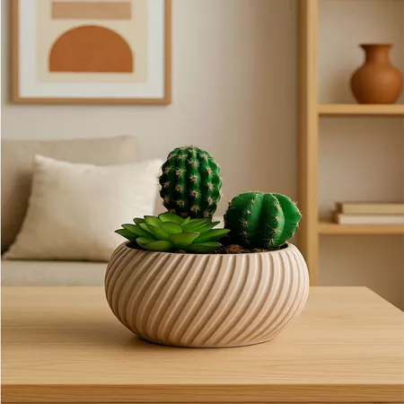 Vaso com Arranjo Mini Suculenta e Cactus