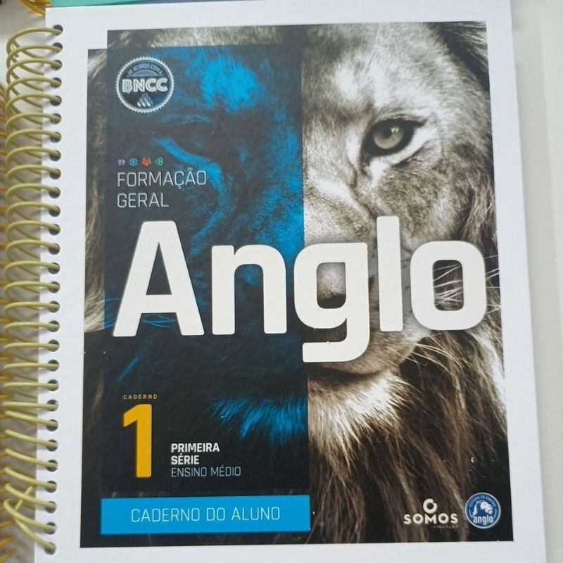 Anglo 1°ano Ensino médio 1° Bimestre com cadernos A -novo | Shopee Brasil
