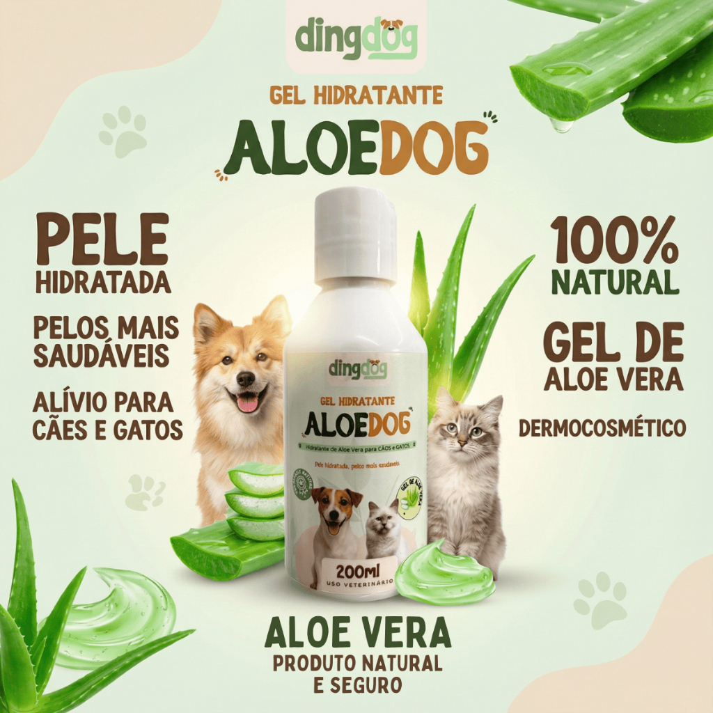 aloe vera gewchshaus Aloe vera - Aloe vera