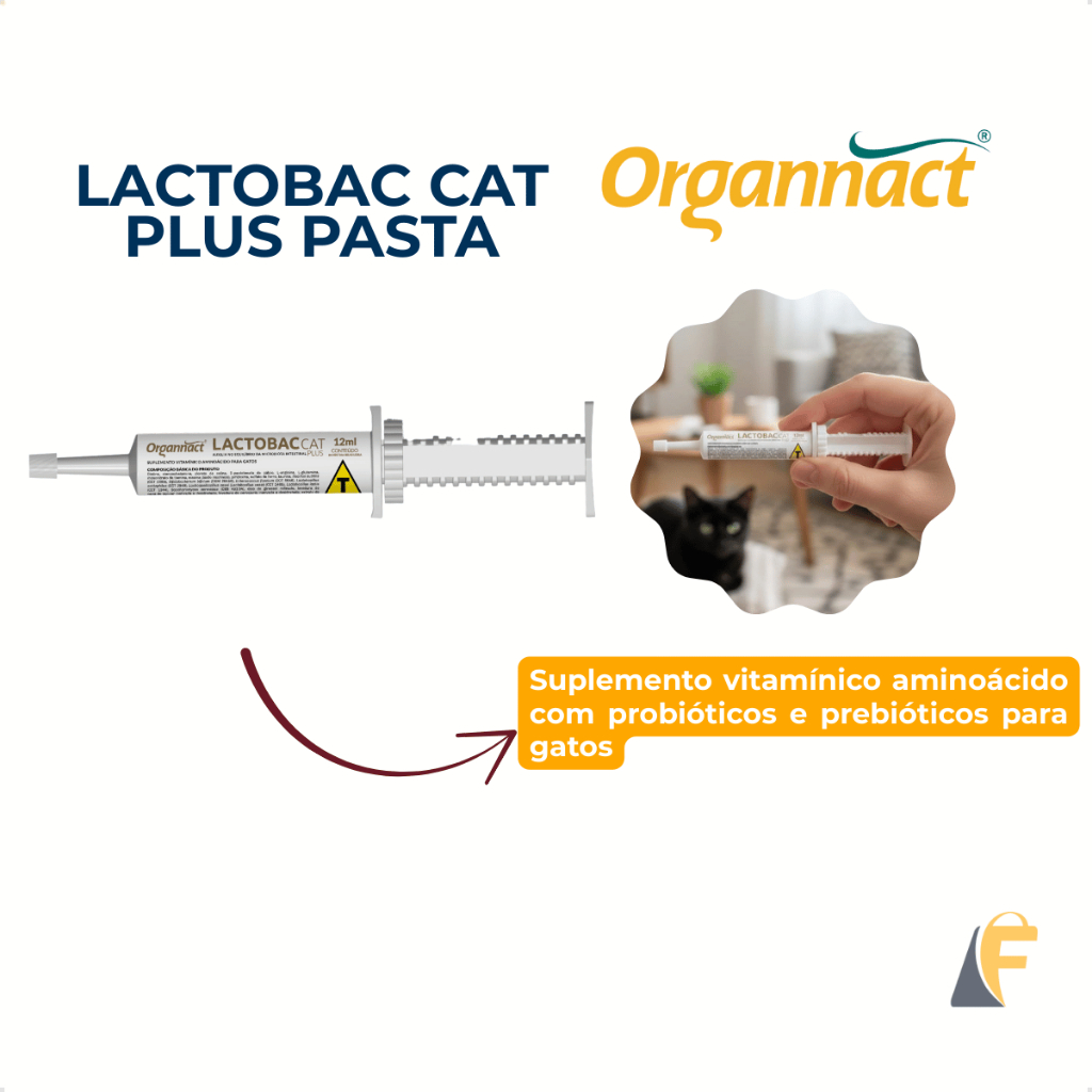 Lactobac Cat Pasta Equilíbrio Intestinal 12ml Probióticos | Shopee Brasil