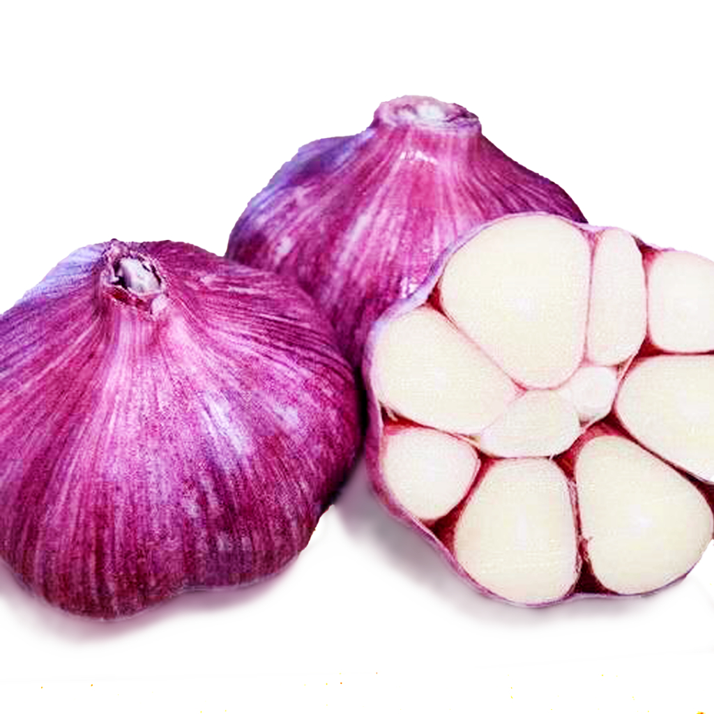 Alho Roxo Extra A Tamanhos 4 Alho Roxo Nacional Graúdo do Norte de ...