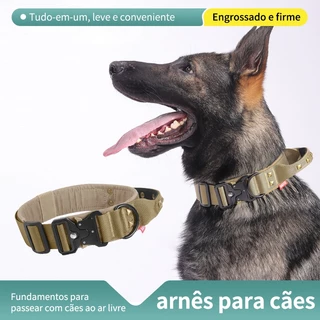 Coleira para cães, nylon para treinamento ajustável fivela de metal pesado para cães  treinamento  caminhadas em Oferta na Shopee