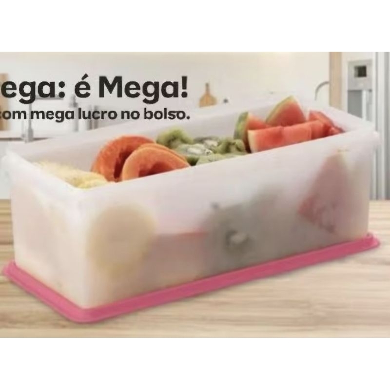 Caixa Freezer 6 L Tupperware Completa OU Acessórios de Reposição