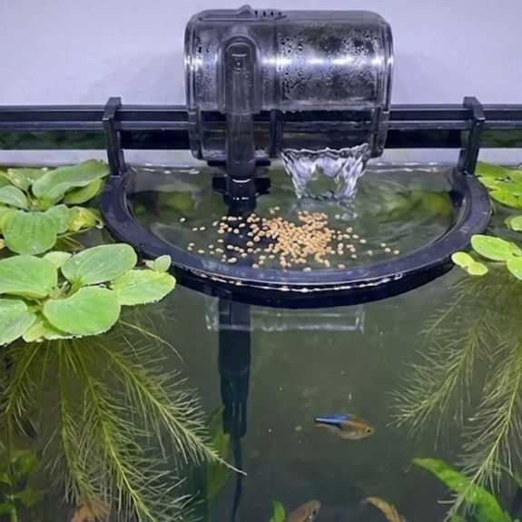 Anel Flutuante Proteção Filtro Hang On | Cerca Plantas (Salvinia, Pistia) | Aquário