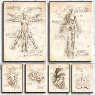 Kit 10 Quadros Decorativo Anatomia Corpo Humano Leonardo da Vinci Decoração Vintage
