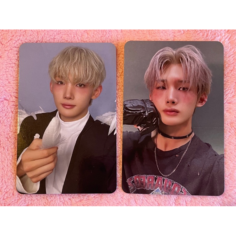 &team JO Back To Life Photocard Set | Shopee Brasil