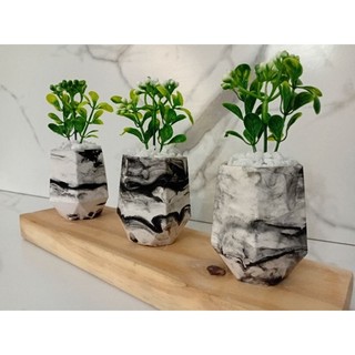 Kit 3 Vasinhos tipo bujãozinho com Plantinhas