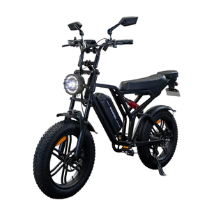 Bicicleta Elétrica 750W Fat Bateria de Lítio Removível E-bike Wehawk Wx-19 48V 15Ah Marrom