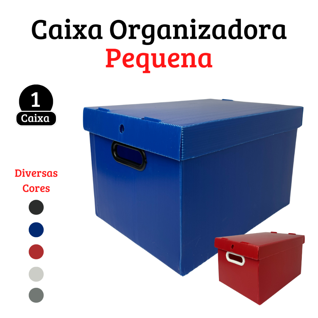 1 Caixa Organizadora Plástica Polionda Com Tampa Multiuso Pequena ...