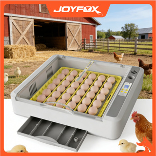 Chocadeira Automática 36 Ovos Com Ovoscópio Joyfox 220v em Oferta na Shopee