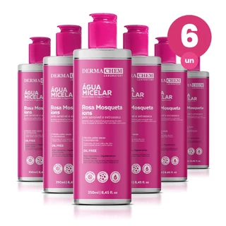 Kit 6 Água Micelar Rosa Mosqueta 250ml Dermachem em Oferta na Shopee