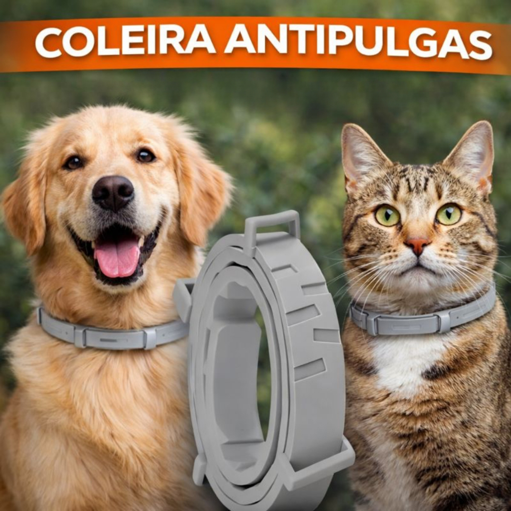 Coleira Antipulga Para Cachorro e Gato Combate Pulgas, Carrapatos ...