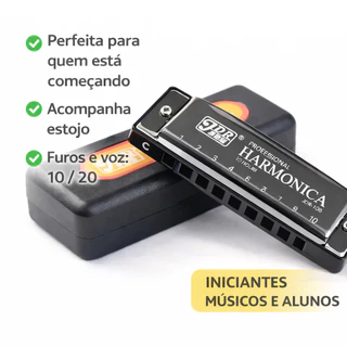 Gaita Harmônica Blues Em Dó C 10 Furos 20 Vozes Diatônica Com Estojo Para Iniciantes em Oferta na Shopee