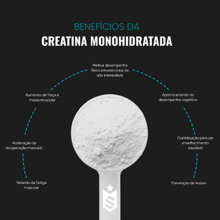 Creatina Monohidratada 600g 100% Pura Importada Soldiers Nutrition Suplemento Performance Muscular Força — foto 3 — Achou Levou Brasil