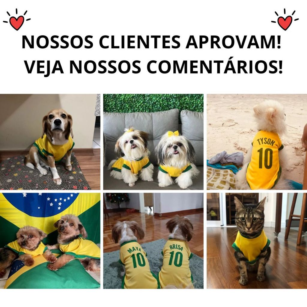 Imagem do produto Roupinha Para Pet Personalizada Brasil Copa Do Mundo Cachorro E Gato 3