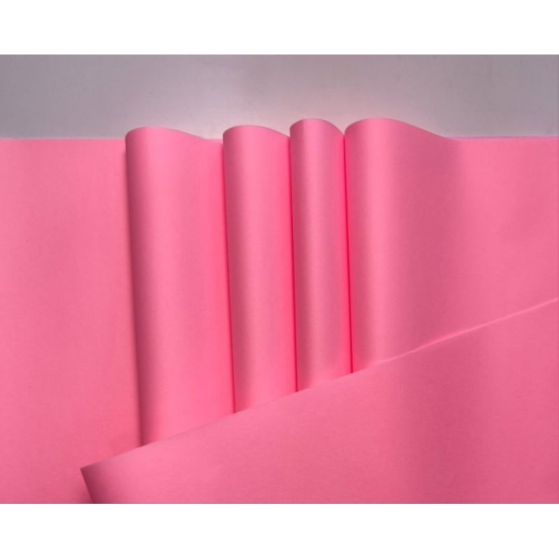 papel seda rosa em Promoção na Shopee Brasil 2026