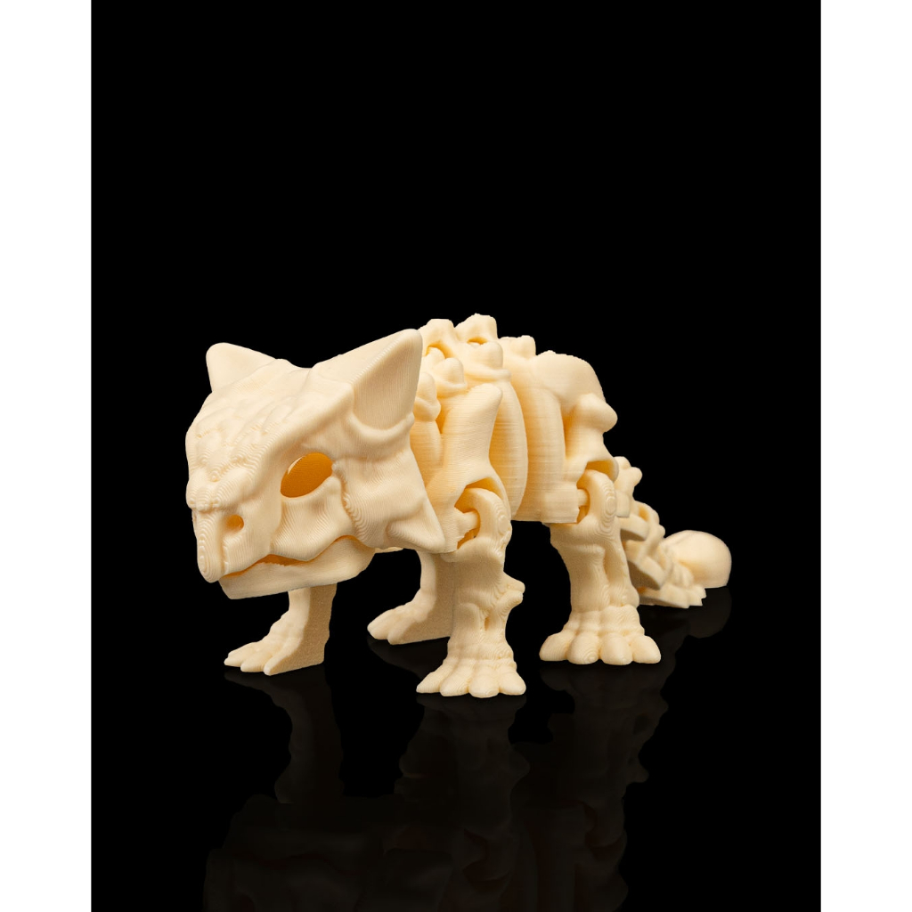 Set De 6 Esqueletos De Dinosaurios Articulados – Réplicas 3D – Tamaño 16x8 Cm – Color Marfil – Hecho En UE
